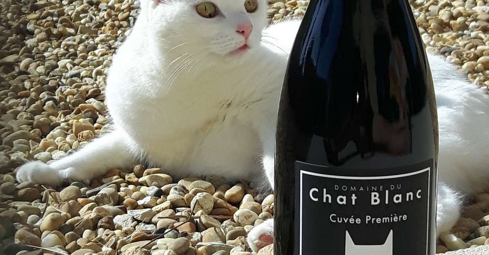 ♥ Le domaine du chat blanc ♥ (Grappilleur n°124)