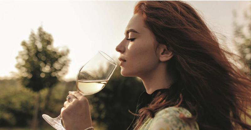 Persistance du vin en bouche
