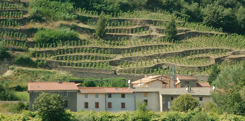 Côte-Rôtie et Condrieu, perles viticoles du Rhône… la jeunesse prend la main (Grappilleur n°123)