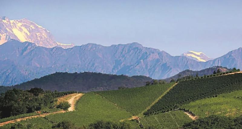 Gattinara, la ou la vigne danse sur le volcan