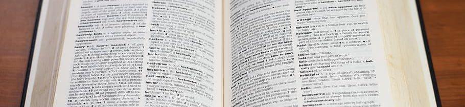 Le coup de cœur de la rédaction : Le Domaine du Tau