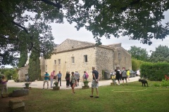 IMG_20230701_094147