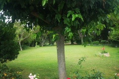IMG_20230701_094449