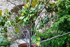 IMG_20230701_100239