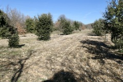 2024-02-03_12h16_P1003737