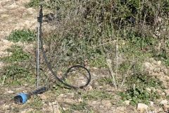 2024-02-03_12h17_P1003738