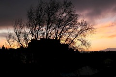 2024-02-04_07h42_P1003779