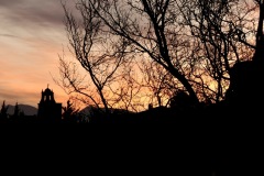 2024-02-04_07h42_P1003780